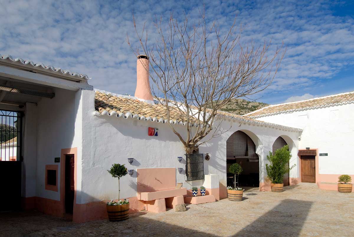 Finca Sierra la Solana 3