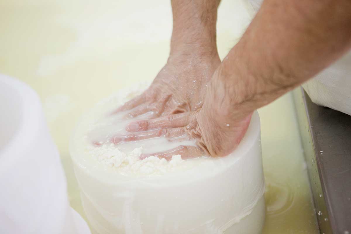 Proceso manual quesos artesanos 2
